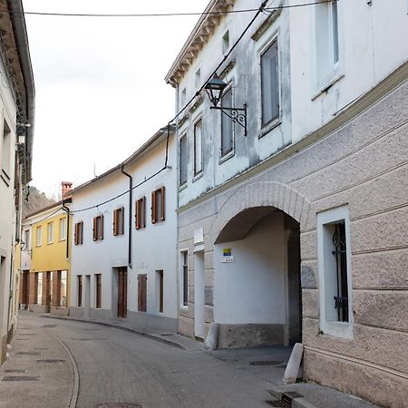 Oliver Street Apartment Vipava Kültér fotó