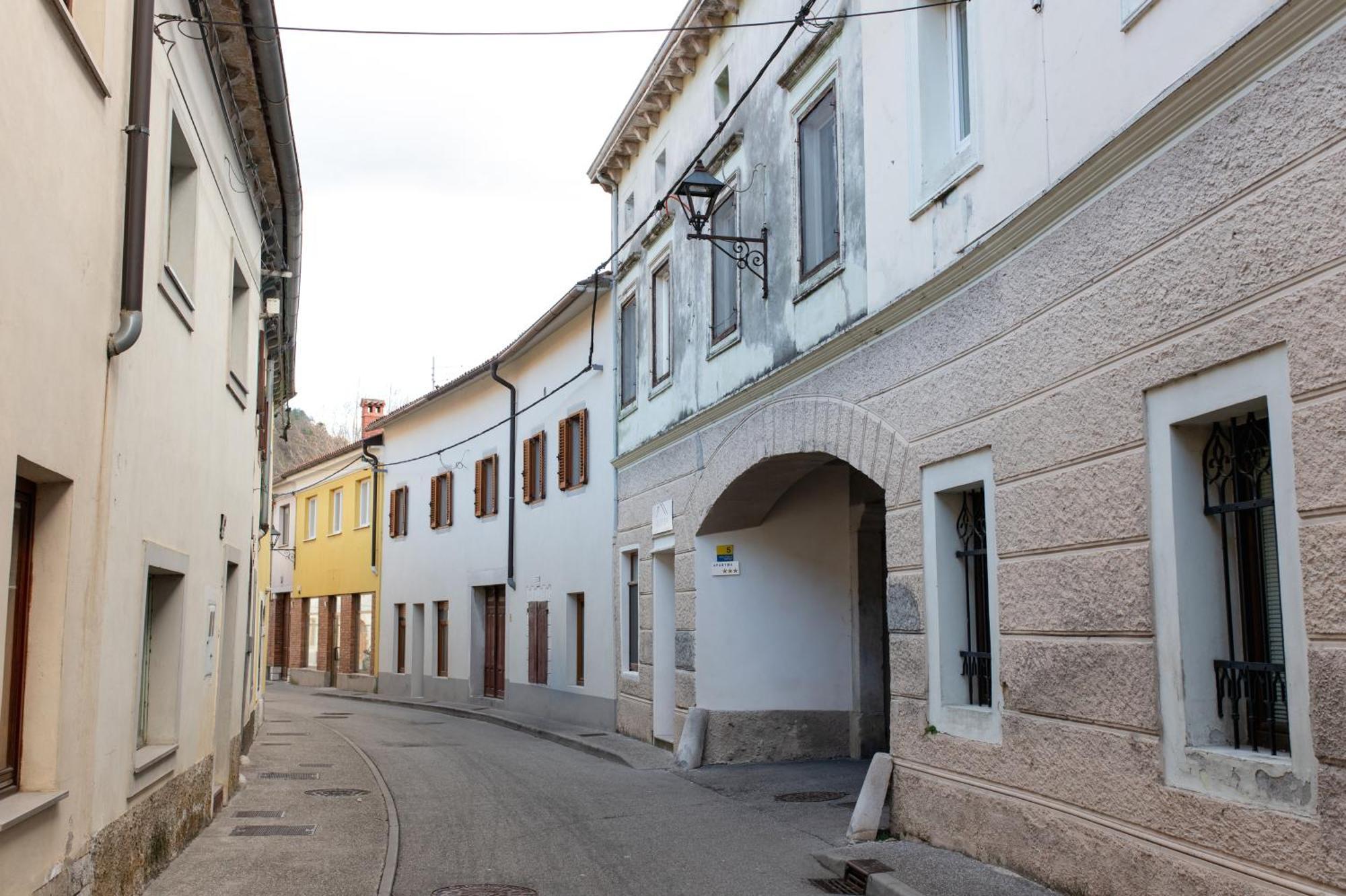Oliver Street Apartment Vipava Kültér fotó